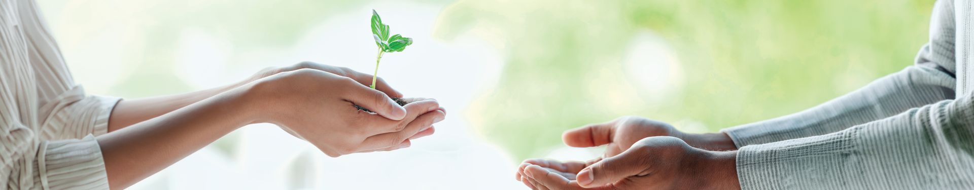 Social Responsibility Forum Banner - 1280x460